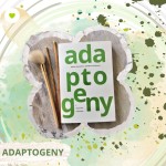 Książka "Adaptogeny a odporność organizmu"
